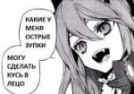 .jpg