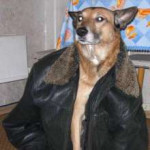 QA7zEWo6Htg.jpg