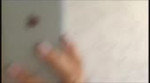 75858.webm