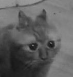 1568392955711.png
