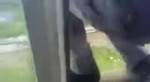 videoplayback.mp4