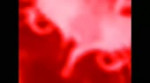 Котэ.webm
