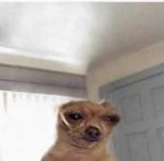 .png