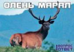 изображение.png