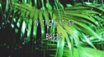 N I G H T S-Basic(slowed).mp4