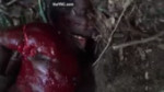 15667528344630.webm