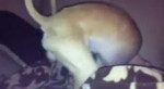 x-files.webm