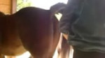15459800583920.mp4