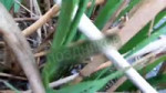 video2023-05-1810-45-31.mp4