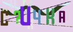 show.png