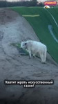 16801263201201.mp4