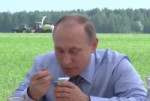 Пыня питается.mp4
