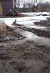 16807729076774.mp4