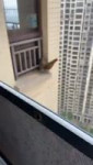 16825304220583.mp4