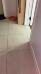 16845295257280.mp4