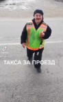 dpschromosome2.mp4