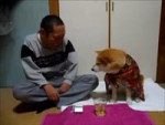 15182533447860.webm