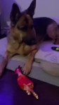 16801297107900.webm