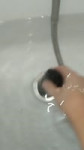 .mp4