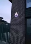 16852949306340.mp4