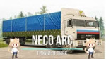 neco arc тихий огонёк.mp4