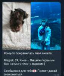 Screenshot20231124-104043Telegram.jpg