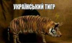 16449868471590.jpg