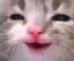 17047585400030.jpg