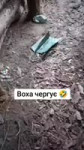 1000003922.mp4