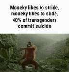 трапы дохнут.gif