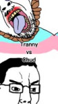 tran.mp4
