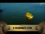 Блёданс сосёт 2.webm