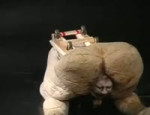 15400437824963.webm
