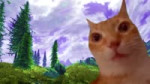 oblivion cat.mp4