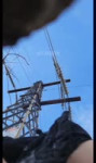 17156035653490.mp4