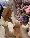 17182105948820.webm