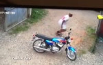 17193458779500.mp4