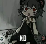17223576563270.webm