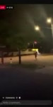 17262465181660.mp4
