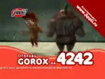 17269386159560.mp4