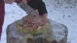 15562031596580.webm