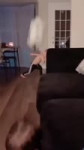 17354108970280.mp4