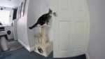 17037999632491.webm