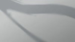16561894466320.webm