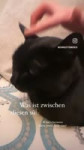 17154196583900.webm