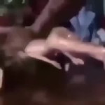 16977341267490.mp4