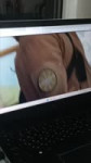 16992879825550.mp4