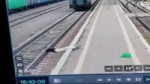 1.mp4