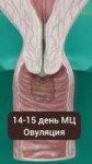 16795940728970.mp4