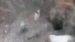 17014532130590.mp4